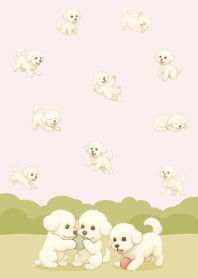 Cute happy bichon frise dog.pink1