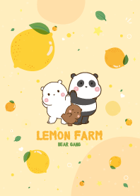 หมีสามตัว เลมอนฟาร์ม คาวาอี้