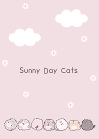 pink Sunny Day Cats 05_2
