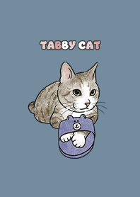 tabbycat6 / denim .jp