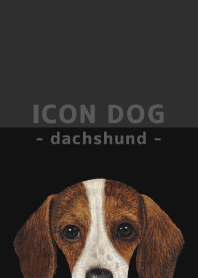 ICON DOG - dachshund - BLACK/04
