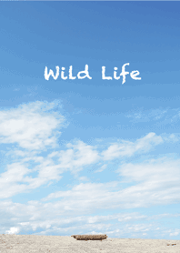 Wild Life