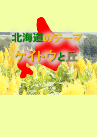 夏の北海道の風景「ケイトウ(花)と丘」