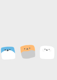 Cube bird