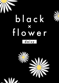 Black x Flower (ดอกเดซี่)