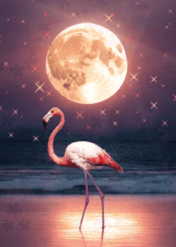 ✨恋愛成就✨幸せになれる月とフラミンゴ
