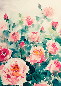 Beautiful rose flower(R4459)