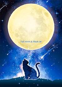幸福を呼び込む✨満月と黒ネコ