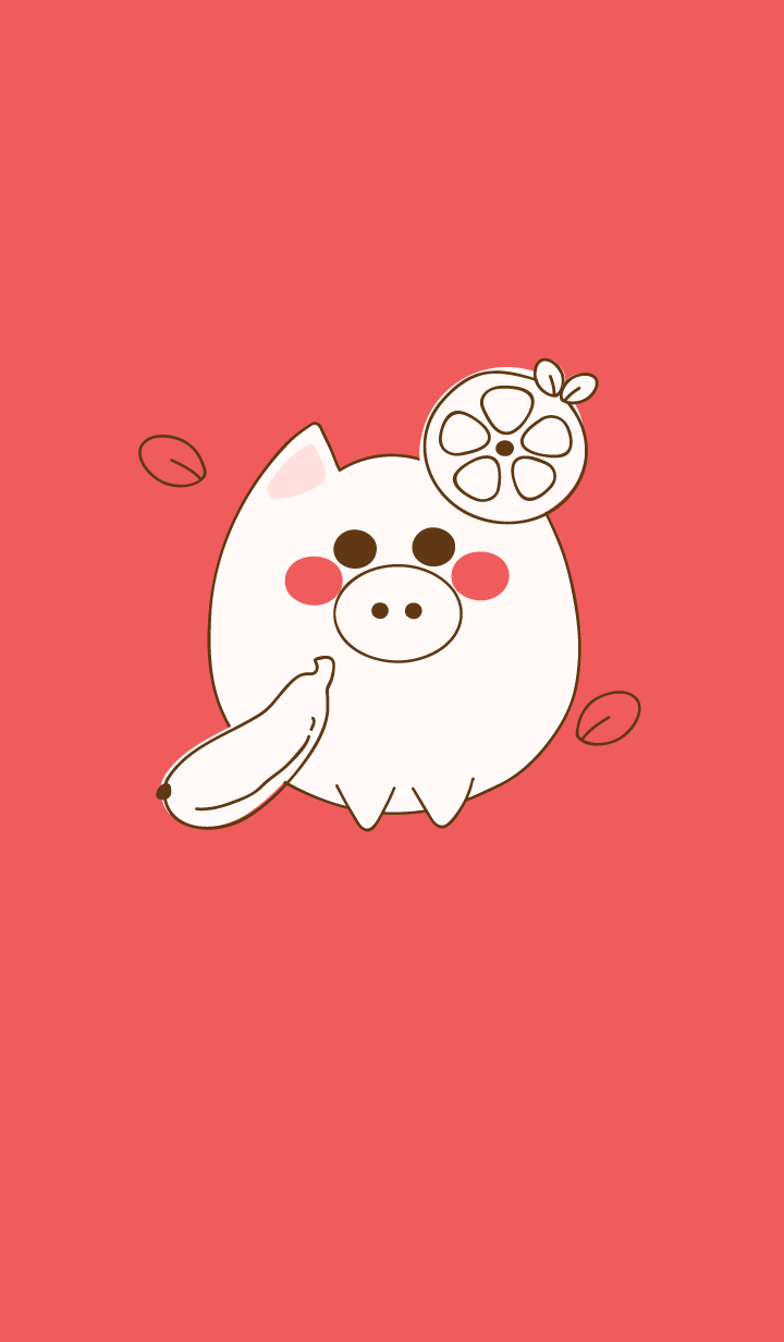 baby pig 46