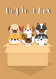Dog in The Box Theme