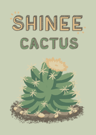SHINEE CACTUS