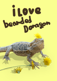 I LOVE BEARDED DRAGON LIFE