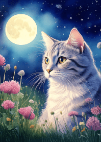A cat wishing on the full moon. Vol.1