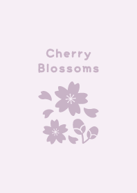 Cherry Blossoms15<PurplePink>