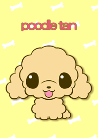 poodle tan