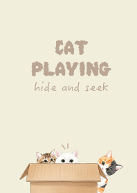 Cat hide and seek.10