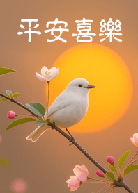 長輩專用大字主題5