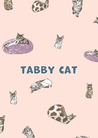 tabbycat1 - peach pink