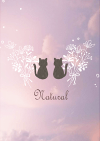 Botanical Gentle Garden16.