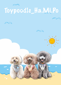 Toypoodle_Ha.Mi.Po