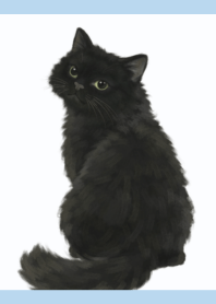 Black Cat White Blue