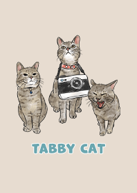 tabbycat11 - almond