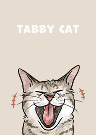 tabbycat4 / almond