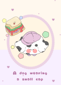 A dog wearing a small cap1