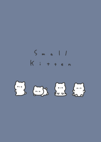 small kitten/blue gray