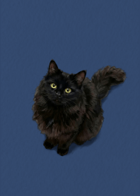 Black Cat Beige Blue theme.