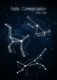 Felis Constellation (The Cat)