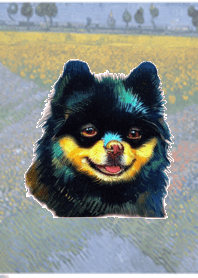 Pomeranian  Theme