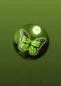 Butterfly dancingintheeveningYellowgreen