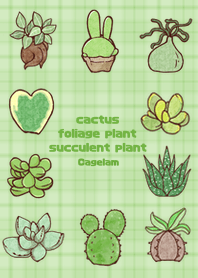Cute Succulent plants&Foliage plants!