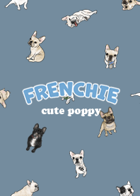 frenchie7 - denim .jp