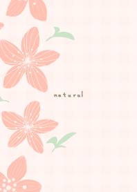 Lily flower left26 from Japan