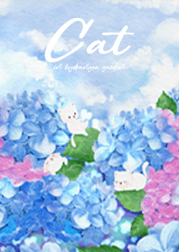 Cat in hydrangea garden