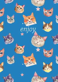 we are cats on blue