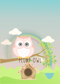 Plump Owl