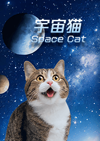 【宇宙猫 Space Cat】驚くねこ