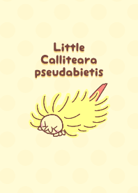 Little Calliteara pseudabietis!