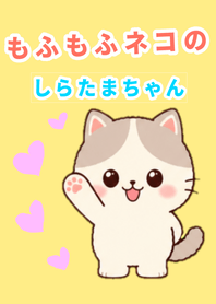 ゆるふわねこのかわいい着せかえ