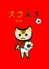 Daily ScoCat Football Ver