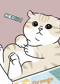 neko single17 - rose pink