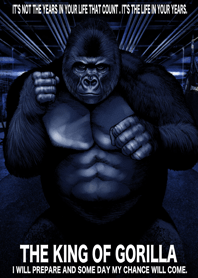 THE KING OF GORILLA