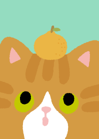 Lucky Orange Cats9