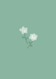 a pale flower 3