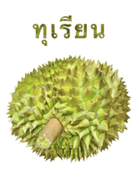 榴蓮　16