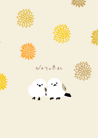 Long-tailed tit snuggling up4 from Japan