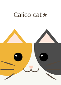 Pop Calico cat
